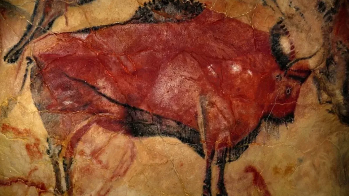 9000 Jahre alter, perfekt erhaltener Bison in Sibirien versetzt Archäolog:innen in Staunen
