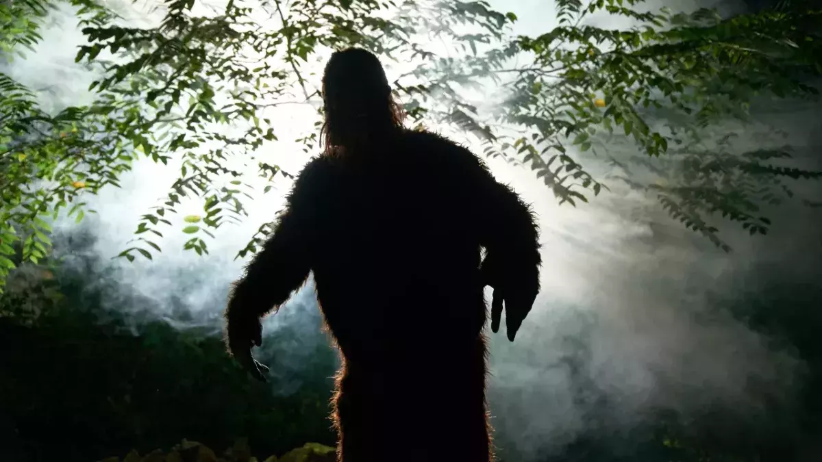 Bigfoot erscheint wieder auf der Bildoberfläche