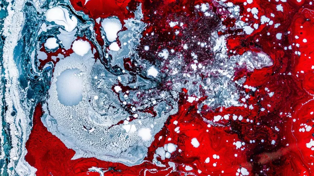 Blut auf Schnee