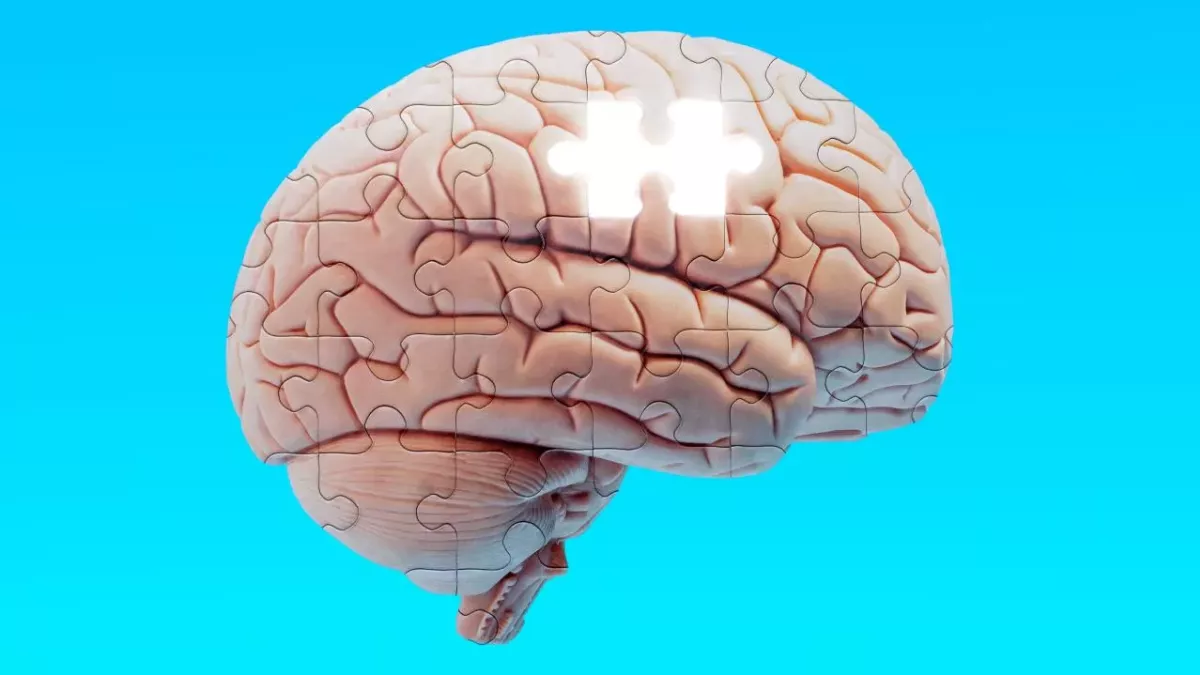 Brain puzzle missing a piece