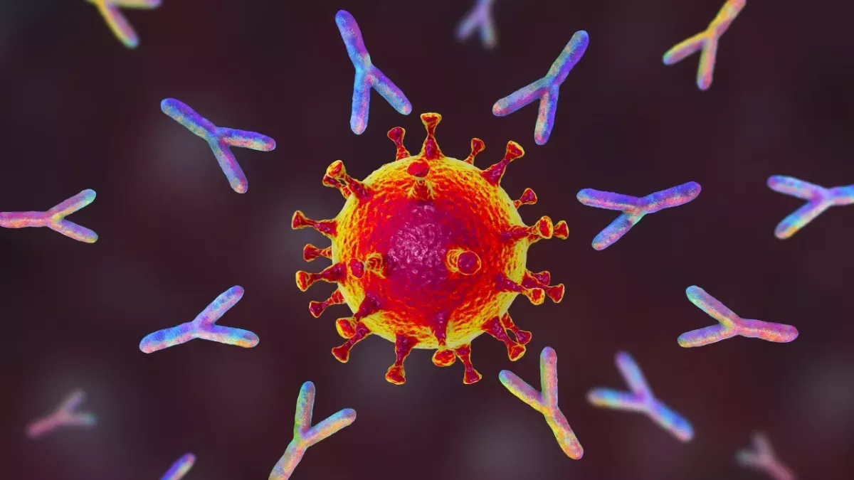 Corona dürfte sich an unserem Immunsystem sogar stärken