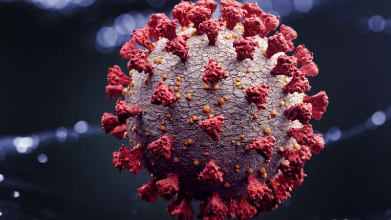 Coronavirus: Unerwartete Schwachstelle könnte ein Medikament ermöglichen