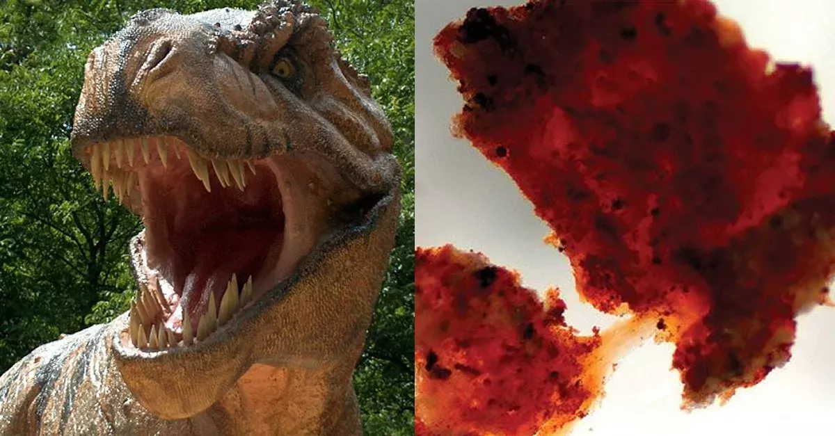Schwangerer T-Rex mit DNA-Spuren entdeckt