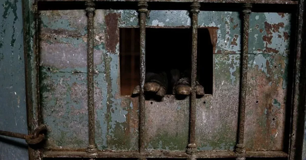 Buenos Aires: Der Zoo ist seit einem Jahr geschlossen, doch viele Tiere sind noch in ihren Käfigen