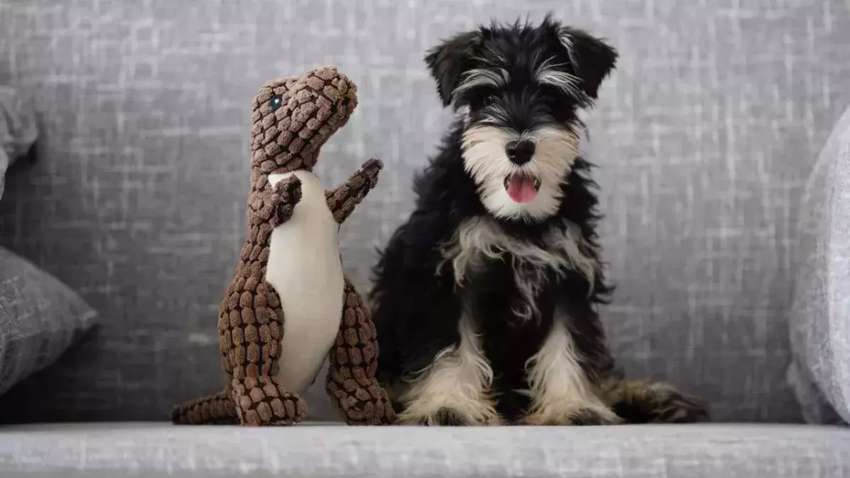 Ein Plüsch-Dino sitzt mit einem Hundewelpen auf einer Couch