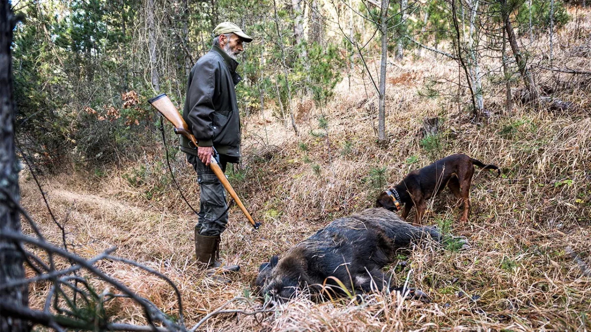Er erschießt ein Wildschwein. Doch er kann nicht glauben, was er dann entdeckt!