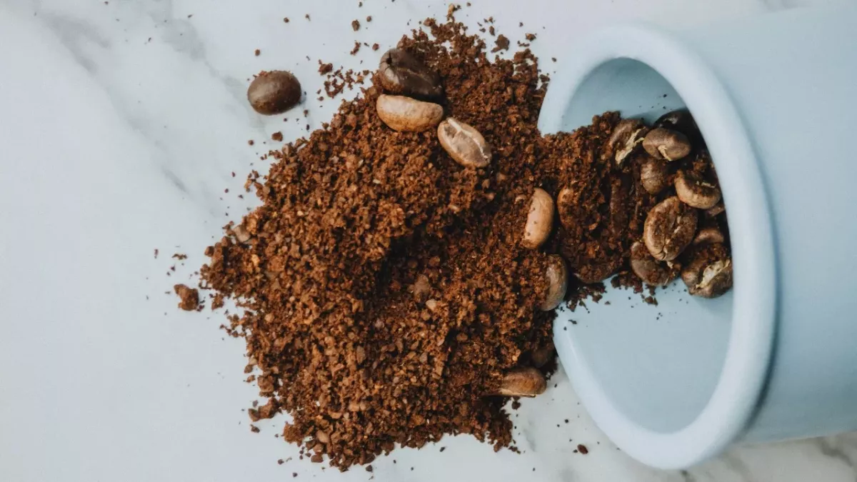 Gemahlener Kaffee enthält gemahlene Kakerlaken