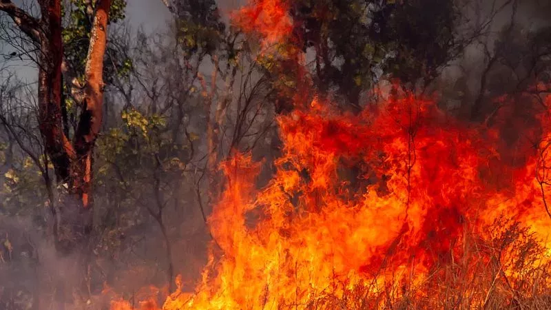 Kalifornien: Seltener Feuertornado wird auf Video festgehalten