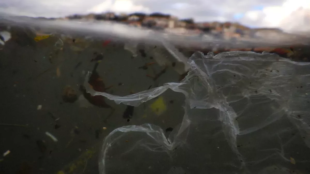 Können uns Bakterien vom Plastikmüll befreien?