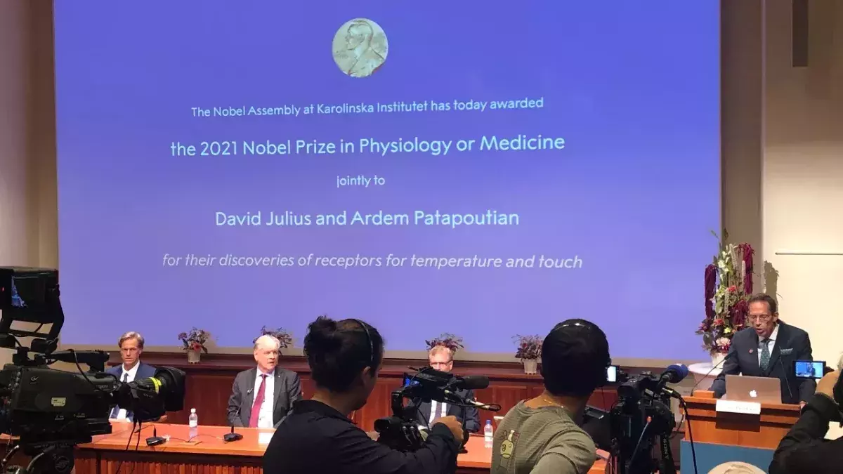 Medizin-Nobelpreis: Für diese bahnbrechenden Entdeckungen wurden die Forscher ausgezeichnet