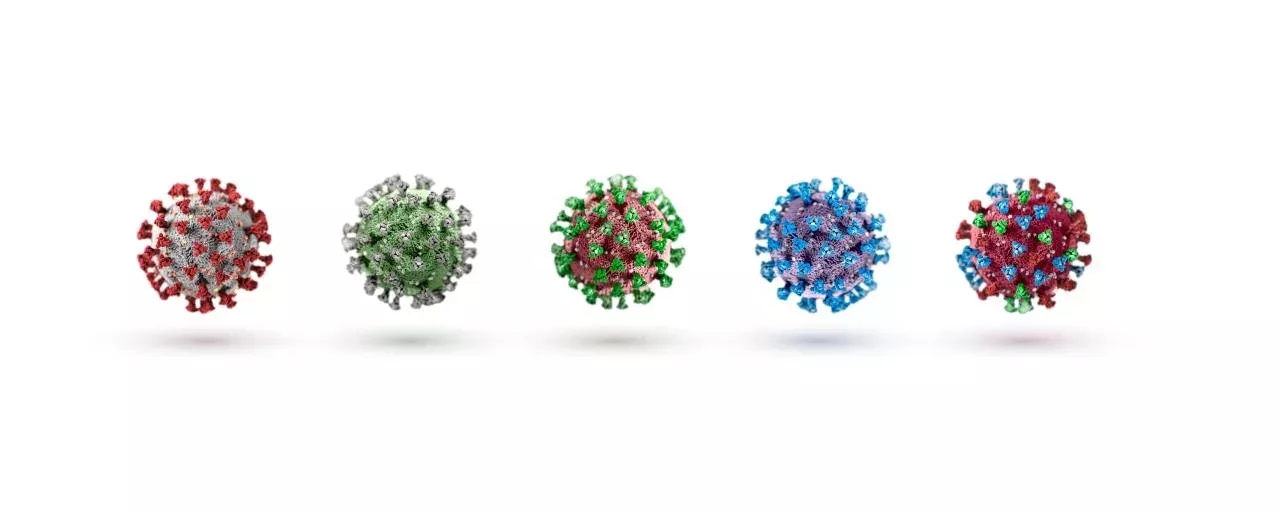 Neues Virus entdeckt