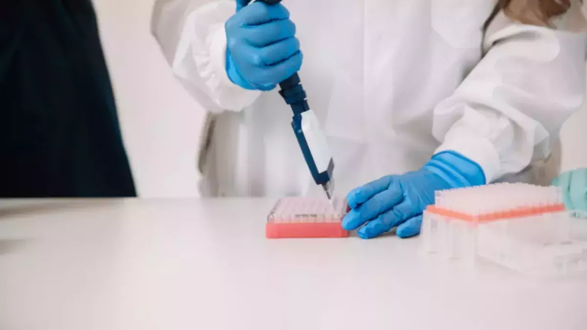 Pränataler Test