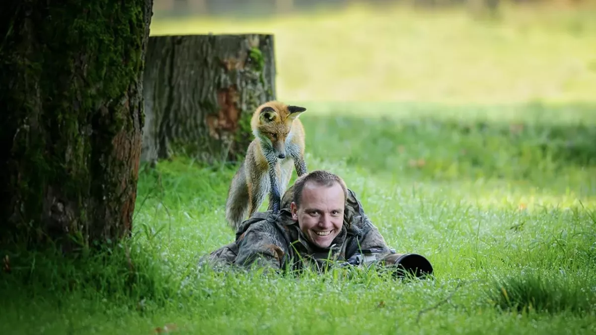 Tierforscher beobachten beängstigendes Verhalten an Waldtieren