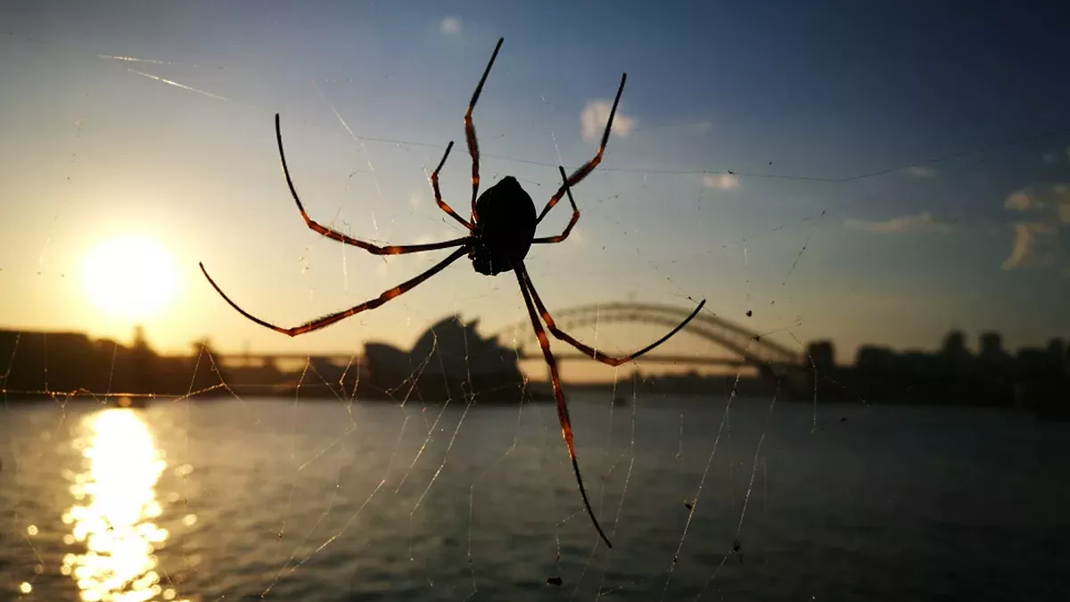 Urlauber in Griechenland werden Zeuge eines gruseligen Naturschauspiels.