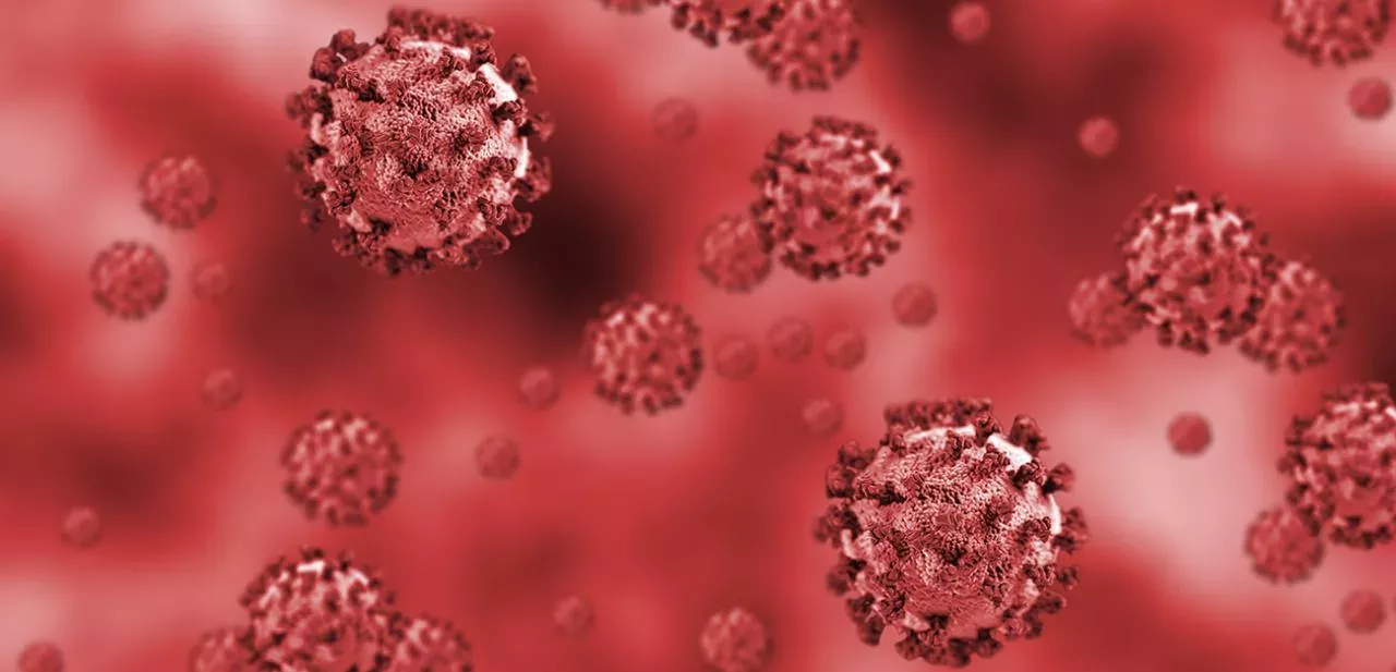 Virus