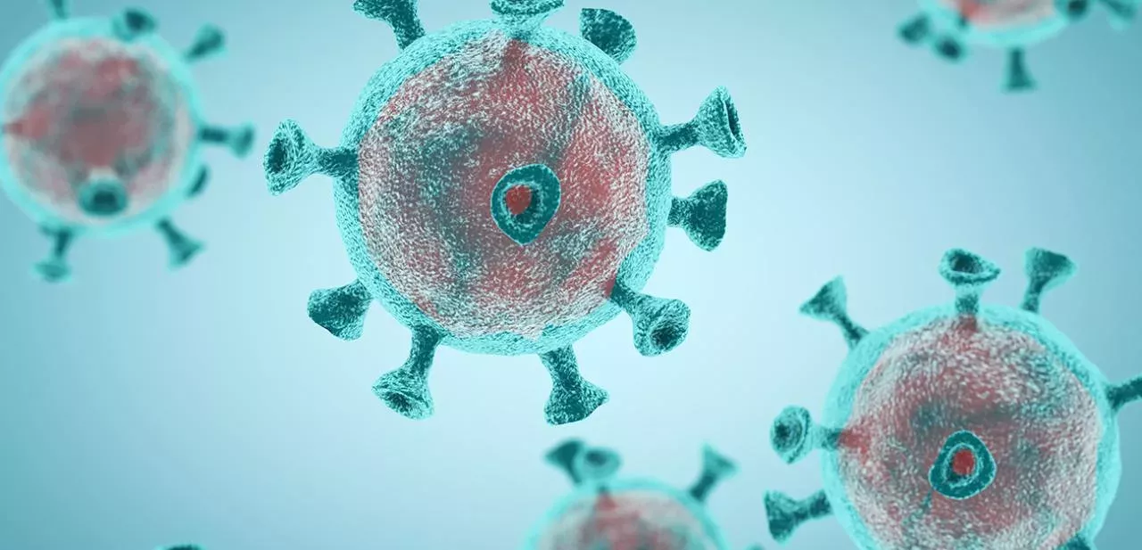 Virus