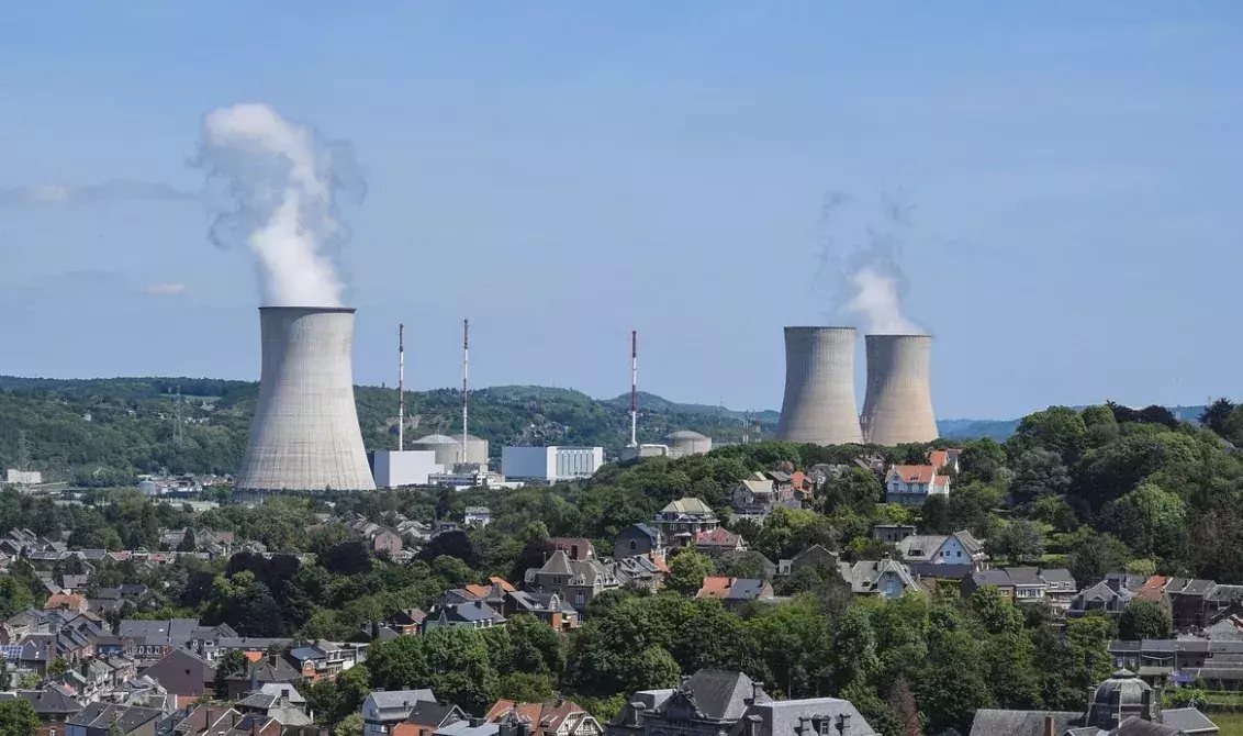 "Wir haben die Hypothese aufgestellt" – das Geheimnis der Fukushima-Schweine entschlüsselt