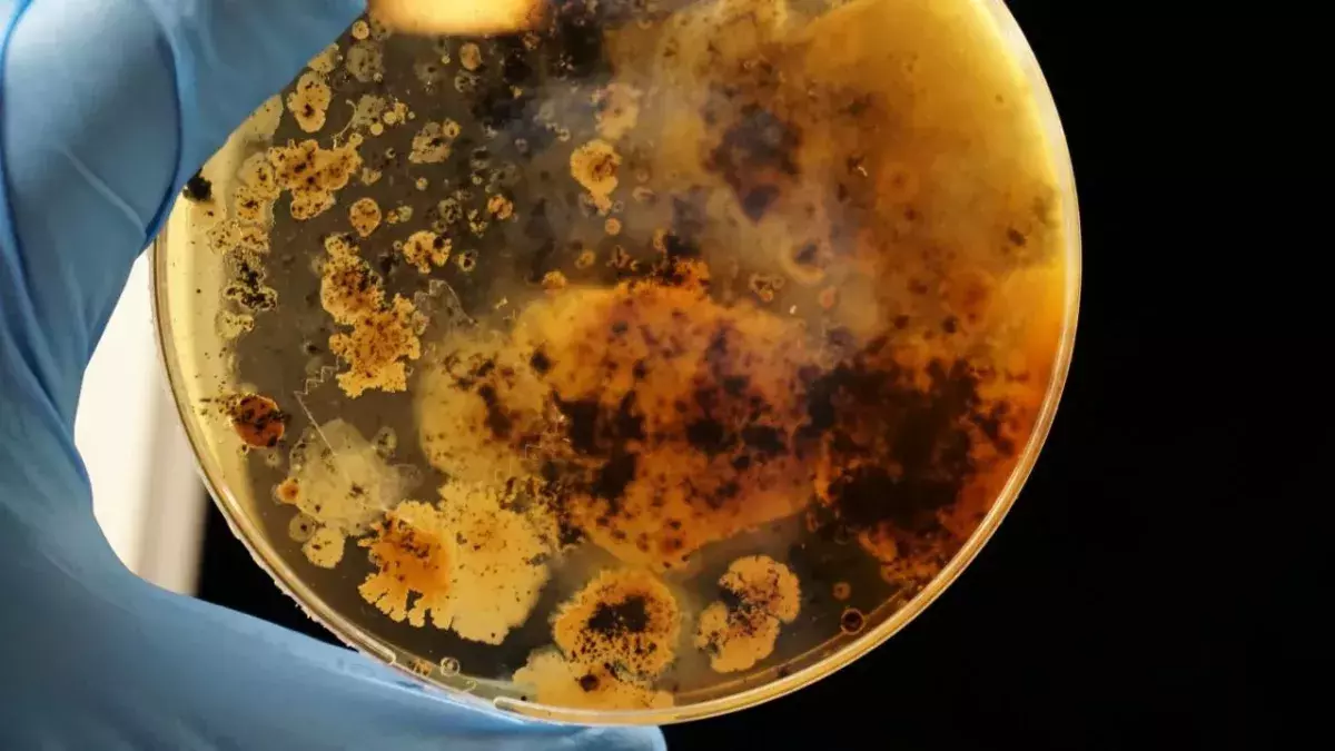 In Wirklichkeit gibt es vielleicht gar kein Leben auf dem Mars