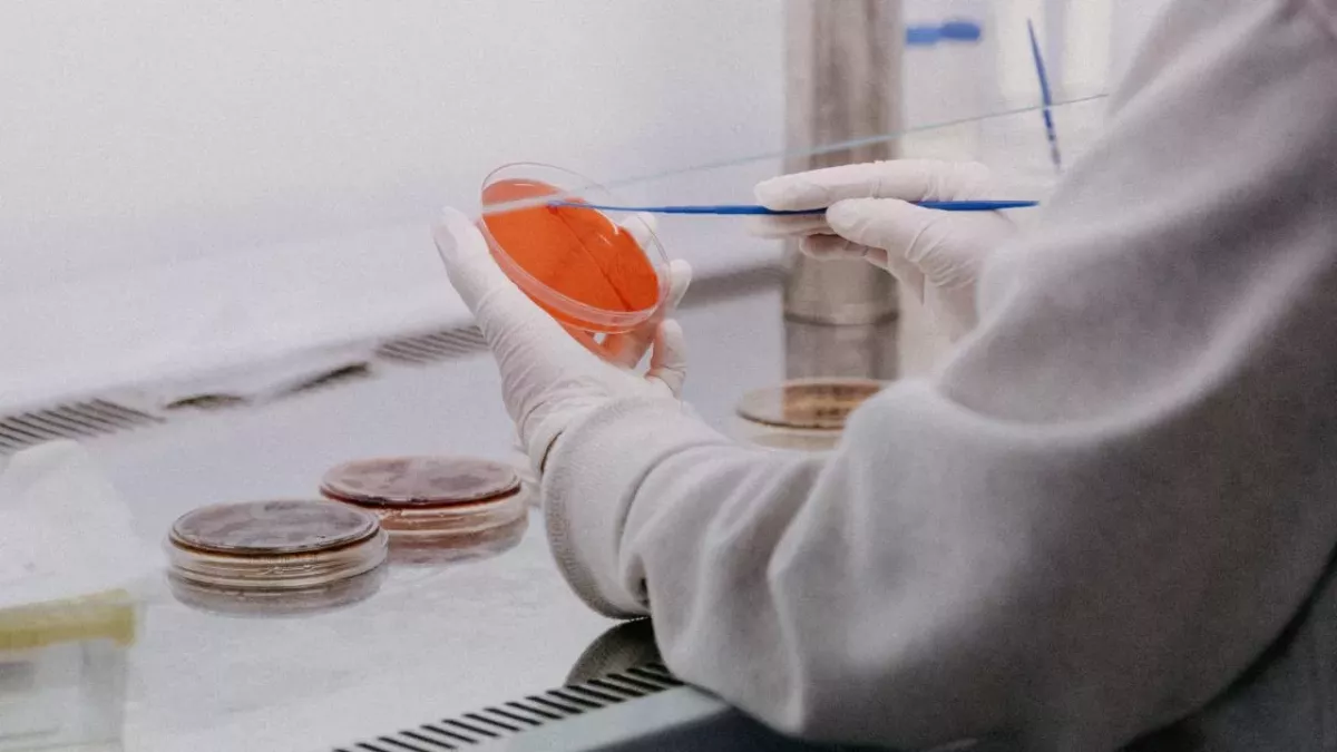 Wissenschaftler entdecken entzündliches Protein