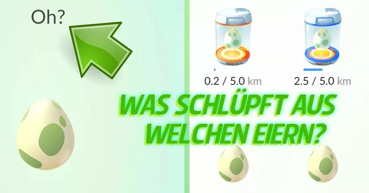 Ihr werdet euch bald nicht mehr über 2-km-Eiern ärgern, denn...