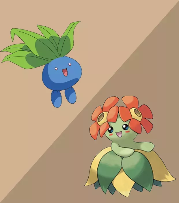 Pokémon GO: Für diese Pokémon der zweiten Generation braucht ihr Bonbons