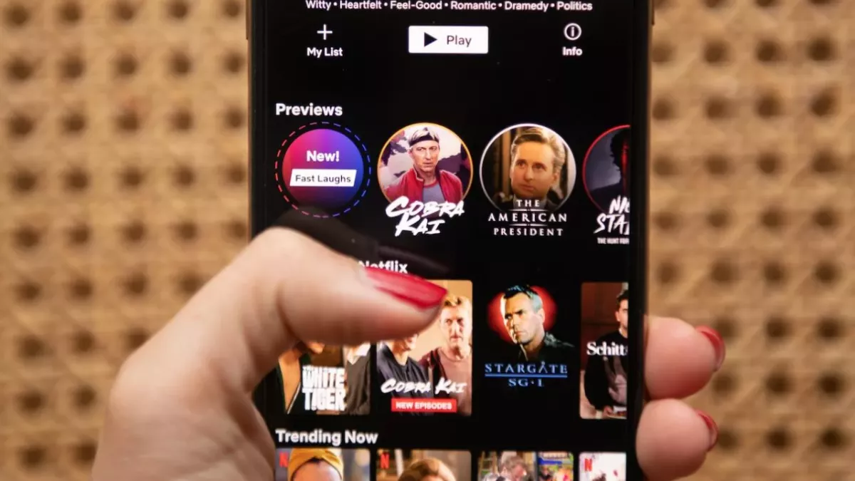 Eine unwillkommene Nachricht von Netflix steht ins Haus