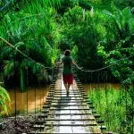 Costa Rica öffnet Grenzen für internationalen Tourismus
