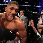 Anthony Joshua macht den UFC-Schwergewichtlern ein Angebot