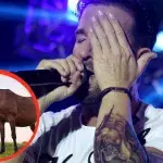 Wegen seiner Pferde: Michael Wendlers Karriere vor dem Aus