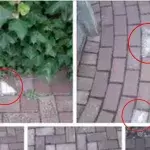 Anwohner wegen weißer Spuren auf dem Kopfsteinpflaster alarmiert