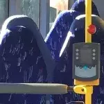 Was siehst du hier auf den ersten Blick? Die Antwort verrät viel über deine Einstellung!
