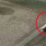 Asphalt-Trick: Betrüger treiben mit einer ungewöhnlichen Masche ihr Unwesen