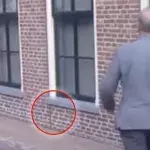 Garagenumbau: Ein Mann hat eine geniale Idee, um die Bauvorschriften einzuhalten