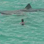Letztes Gebet: Was würdest du machen? So hat ein Schwimmer in Todesangst reagiert!