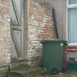 Dieses Fotorätsel löst keiner: Wo hat sich die Katze versteckt?