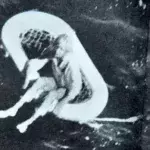 1961 treibt dieses Mädchen einsam auf dem offenem Meer. Jetzt verrät sie, wie es dazu kam