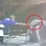 Ein Wal in Not bittet Fischer sichtbar um Hilfe: Was sich dann ereignet, ist beeindruckend (Video)