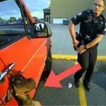 Zwei Polizisten retten einen Hund, der mit der Leine aus dem Fenster eines Fahrzeugs hängt