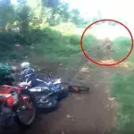 Ein Motocross-Fahrer wird während seiner Fahrt von einer seltsamen Kreatur überrascht
