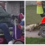 Ein Mann schleift einen Hund hinter seinem Rollstuhl her