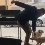 Überwachungskamera: Er lockt den Hund zu sich, dann zückt er plötzlich ein Messer