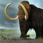 Erwecken Wissenschaftler das Mammut 4000 Jahre nach seinem Verschwinden wieder zum Leben?
