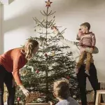Weihnachtsbaum mit gutem Gewissen: Diese Alternativen gibt es