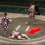 Großartiger K. o. bei einem… Sumo-Kampf!