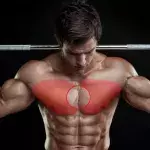 Orientiert euch beim Training der Brustmuskeln am Brustbein