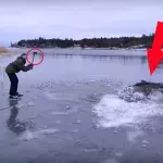 Helfer retten einen Elch aus dem eiskalten Wasser