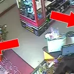 Ladenmitarbeiter schlagen Räuber in die Flucht