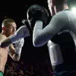 Conor McGregor erhält eine Boxlizenz in Kalifornien!