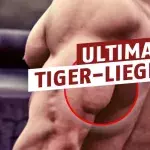 Für den Trizeps: Tiger-Liegestützen