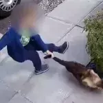 Er quält die Katze - doch die Überwachungskamera hält ihre Rache fest